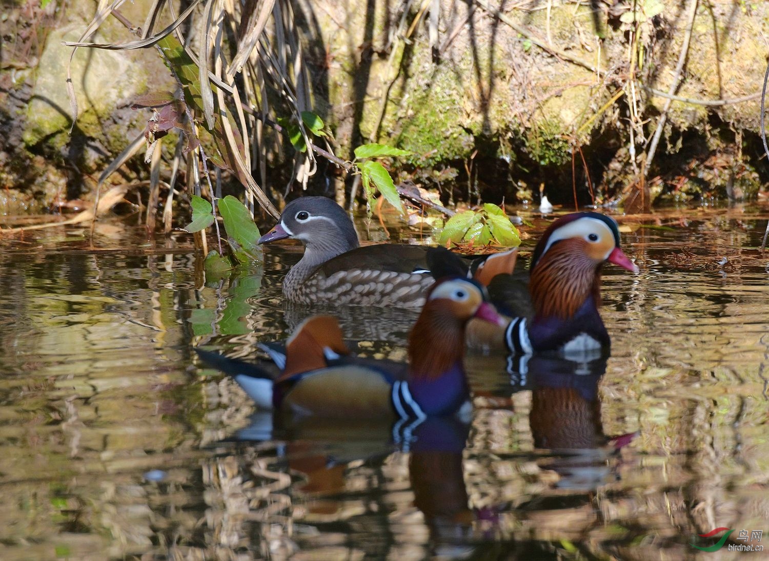 D72_4976.jpg