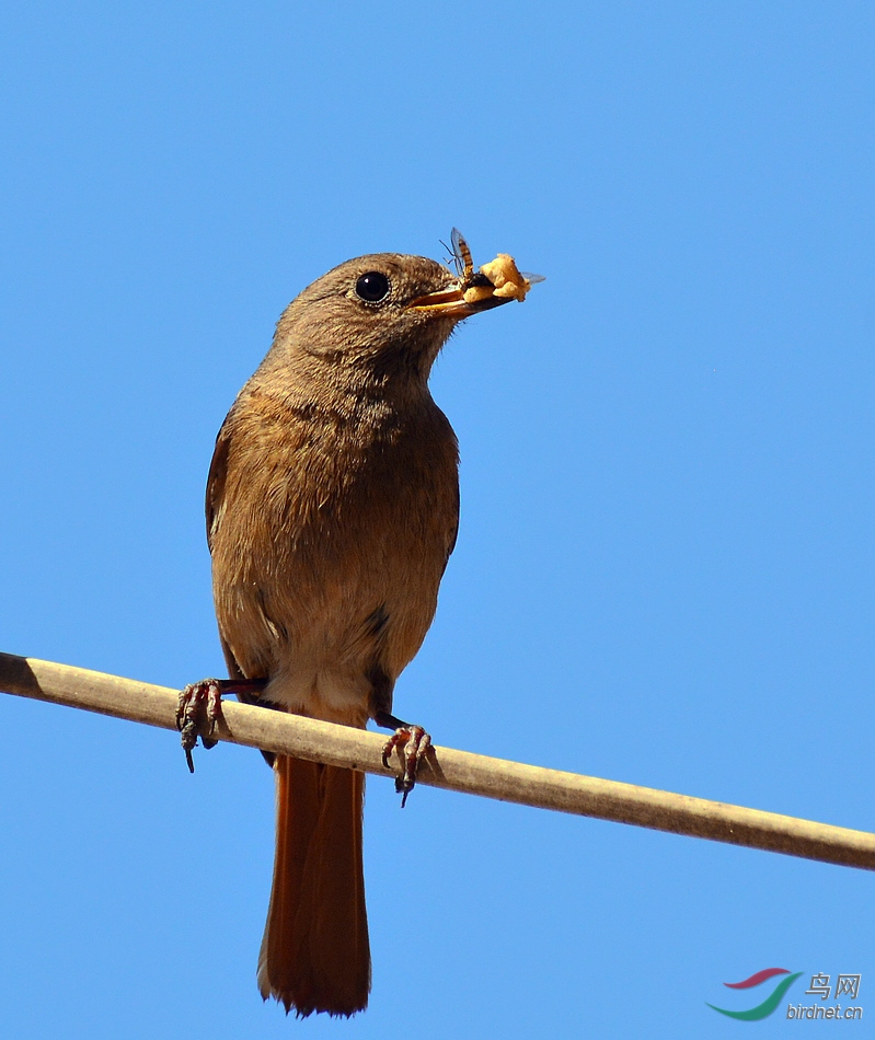 DSC_8432.JPG