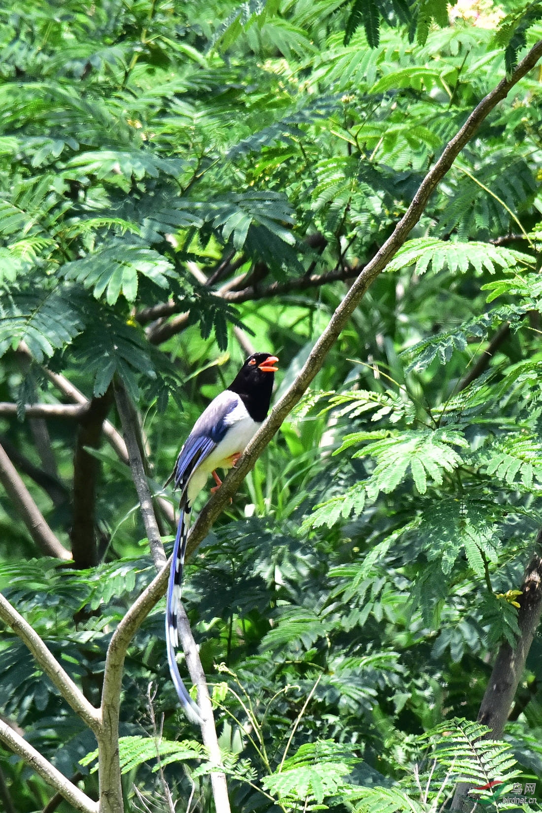 DSC_0679.JPG