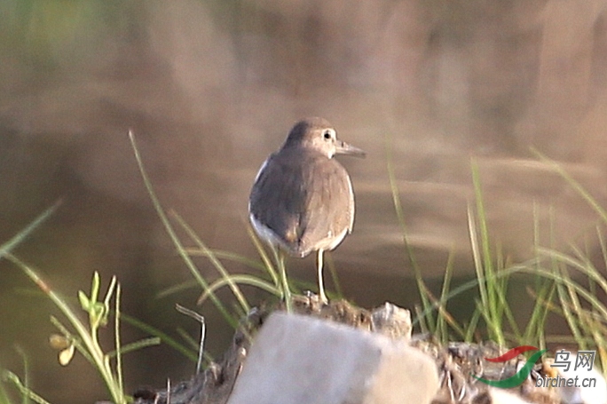 IMG_3860.JPG
