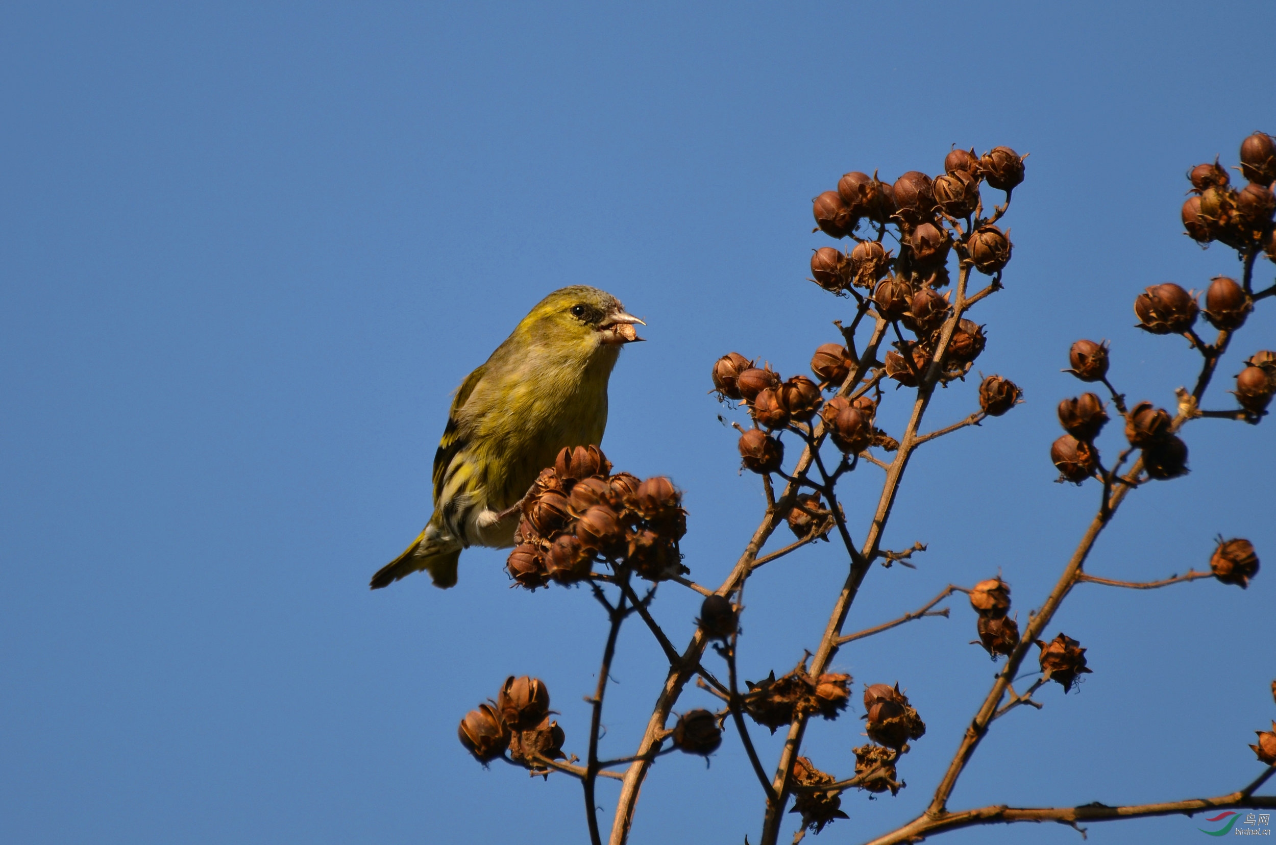 DSC_7548.JPG