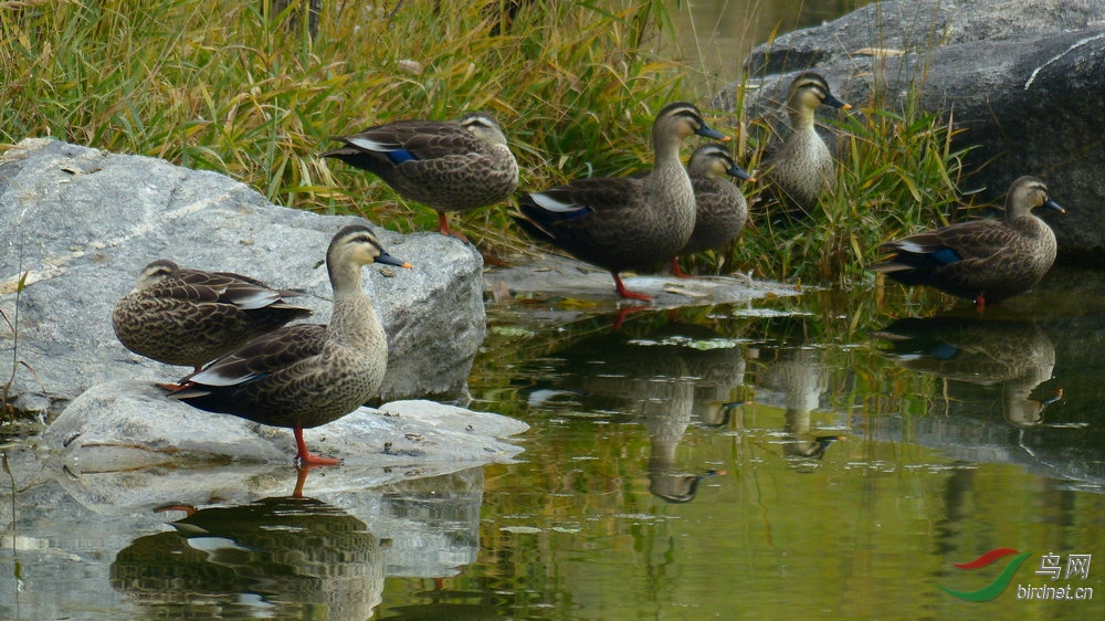 P2220847.jpg