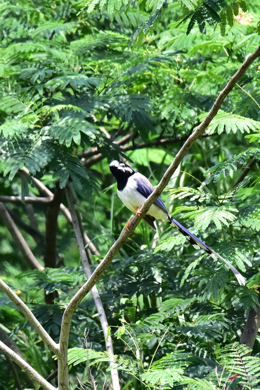 DSC_0682.JPG