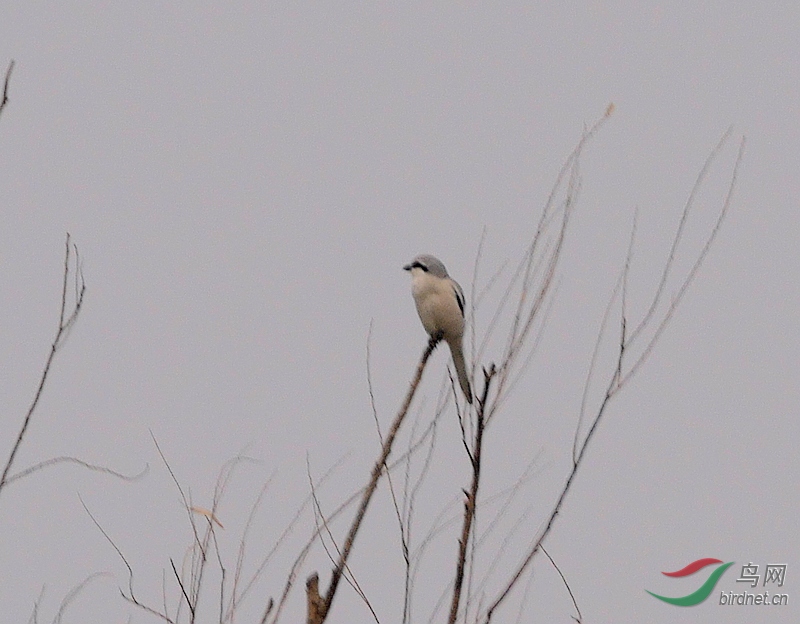 P3770737 - ����.JPG