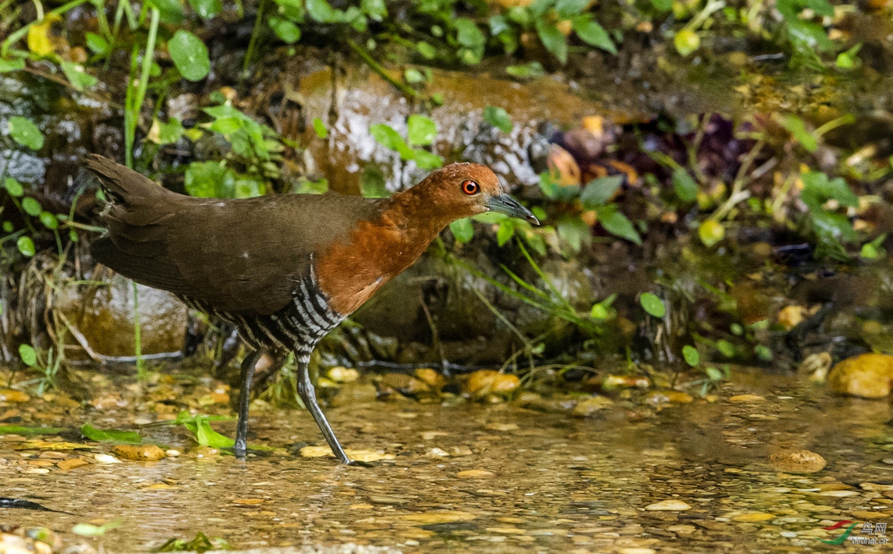 20191107acr207.jpg