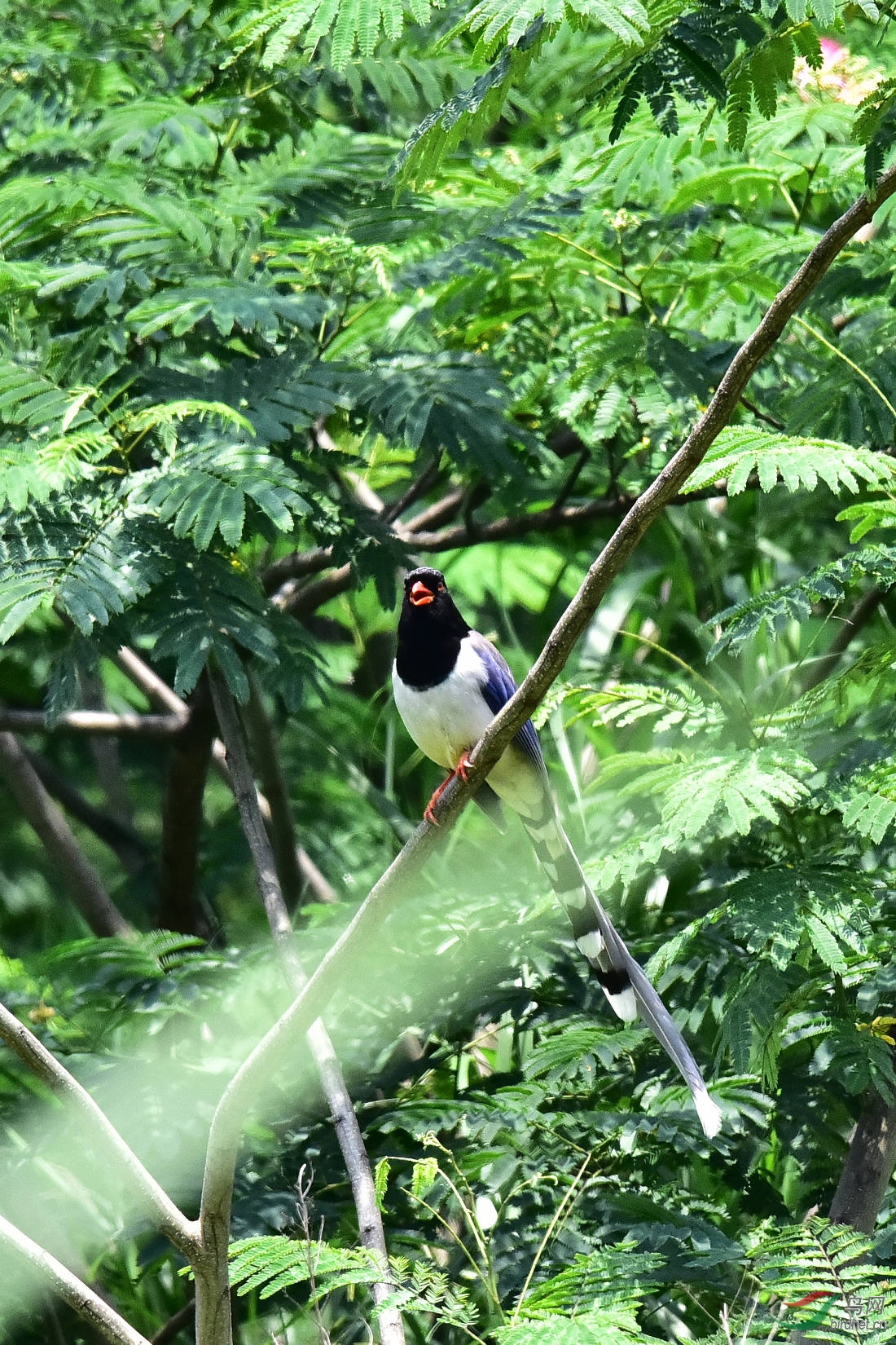 DSC_0684.JPG