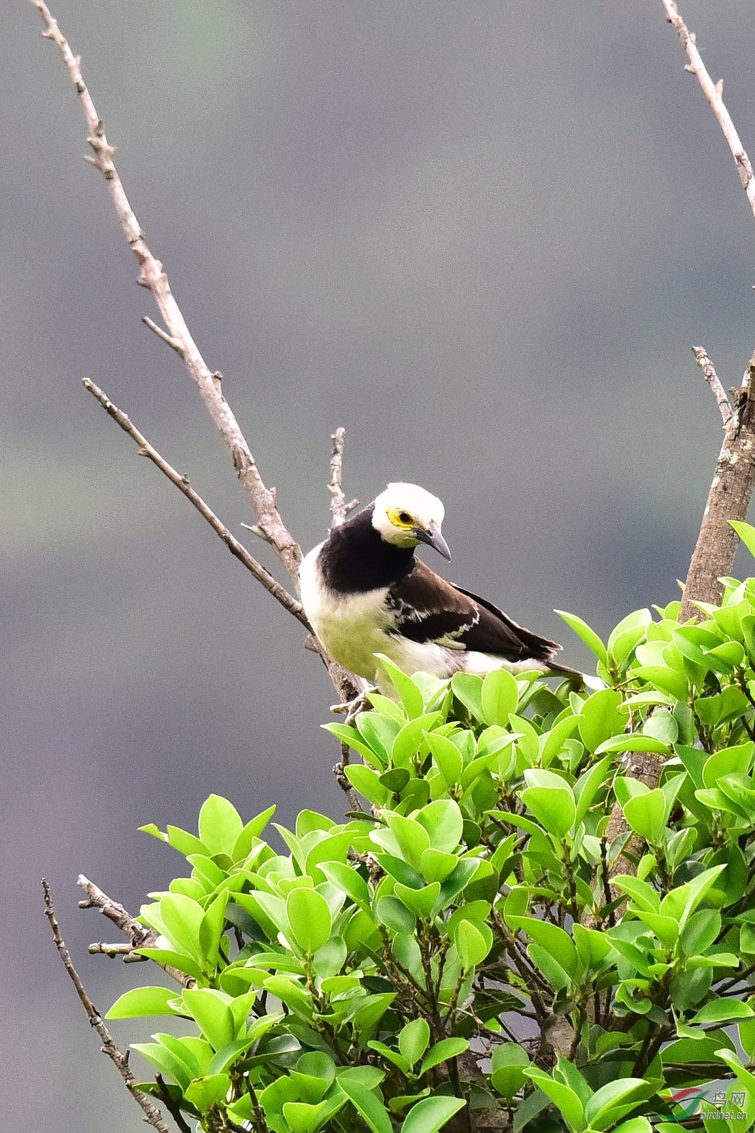 DSC_0264.JPG