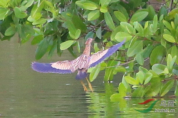 IMG_3424.JPG