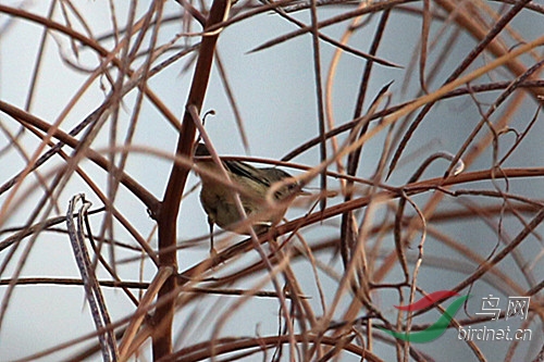 ��ݺ1.JPG