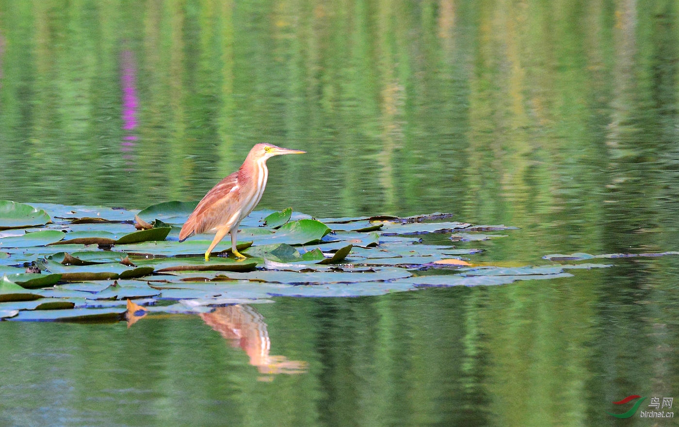 DSC_3411.JPG