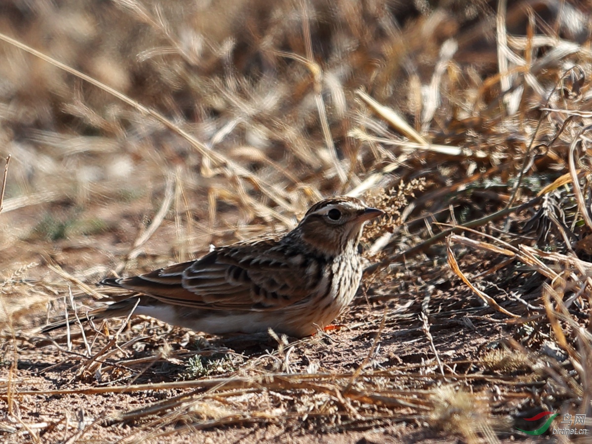 20191024 (701).jpg