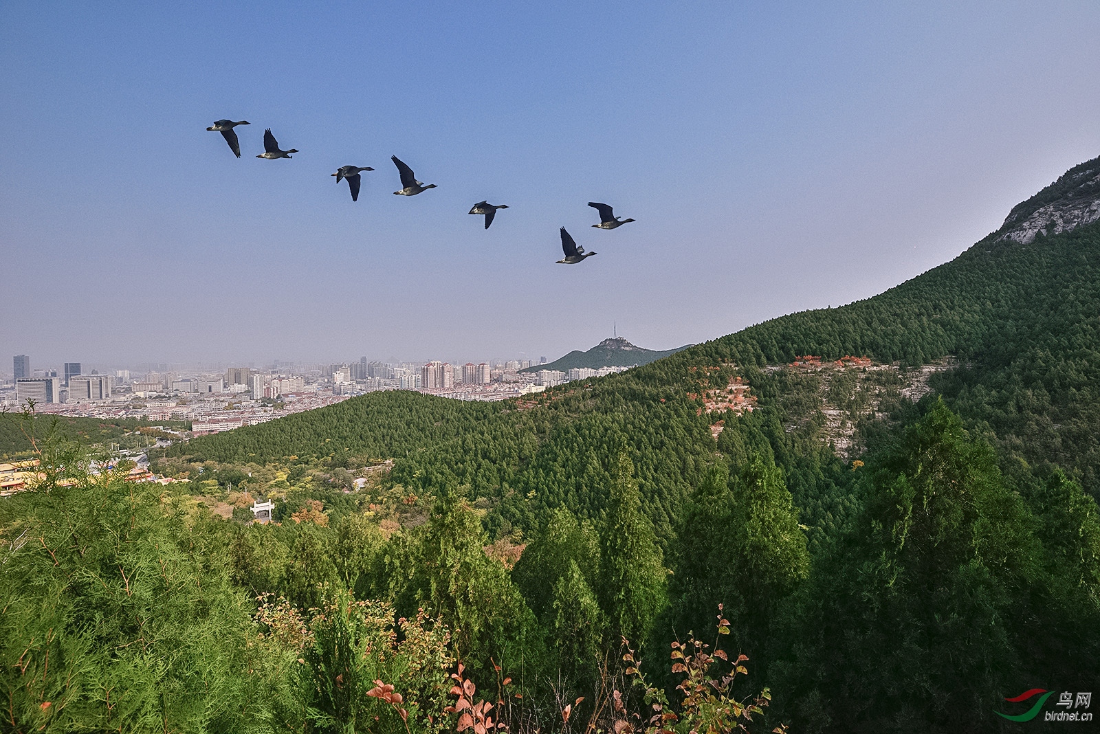 _D8A8600_12078aw1.jpg