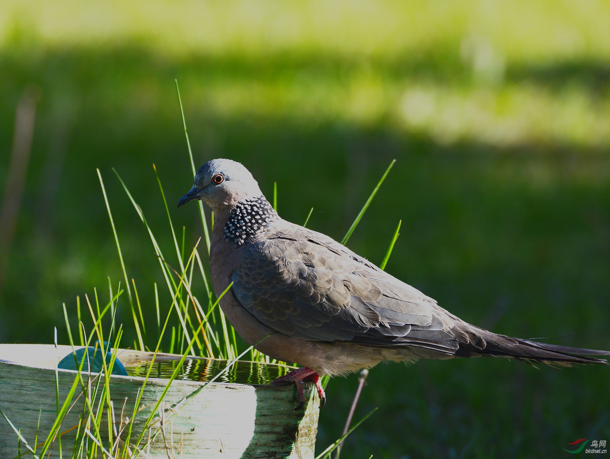 ������Ӱ 060����.jpg