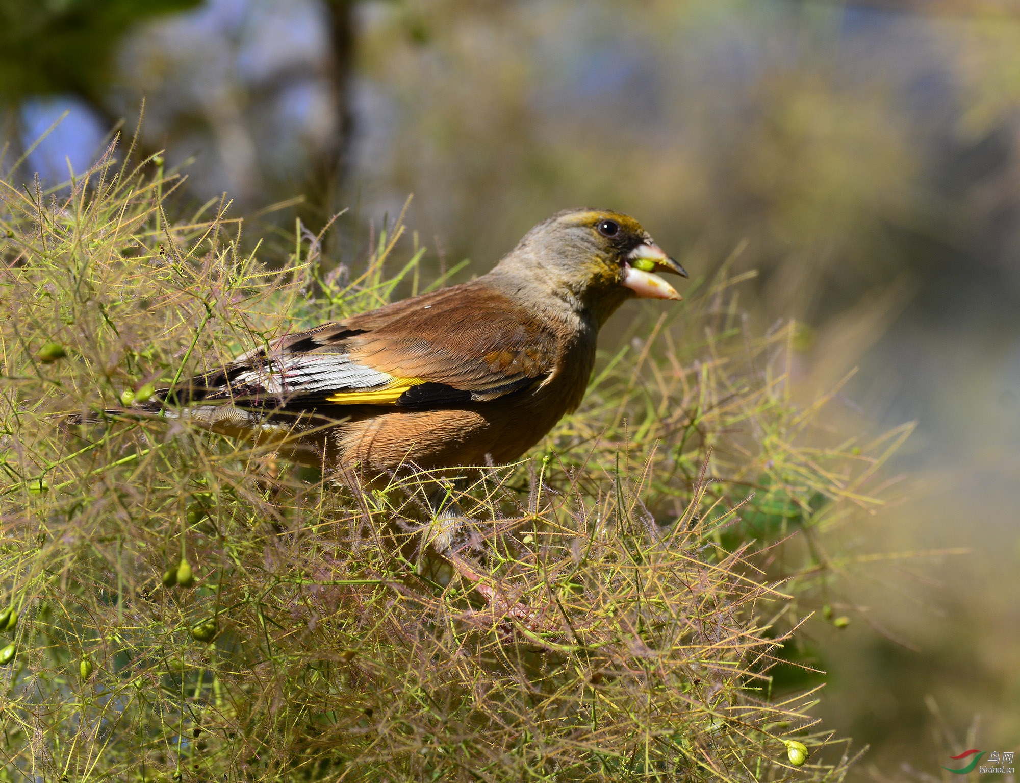 ������Ӱ 270����.jpg