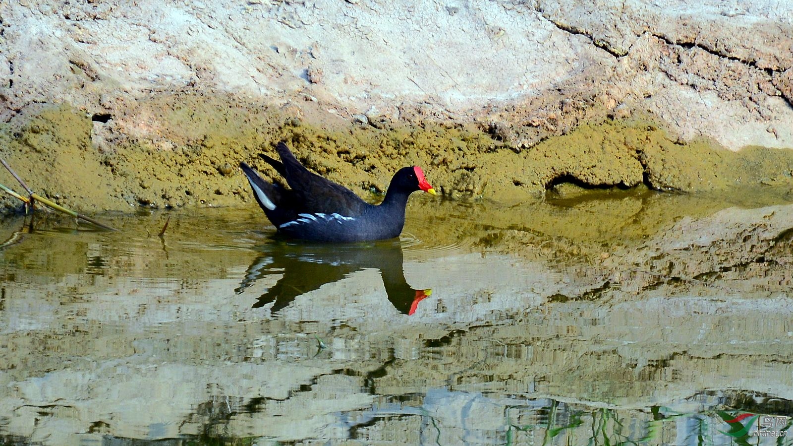 DSC_6186.JPG