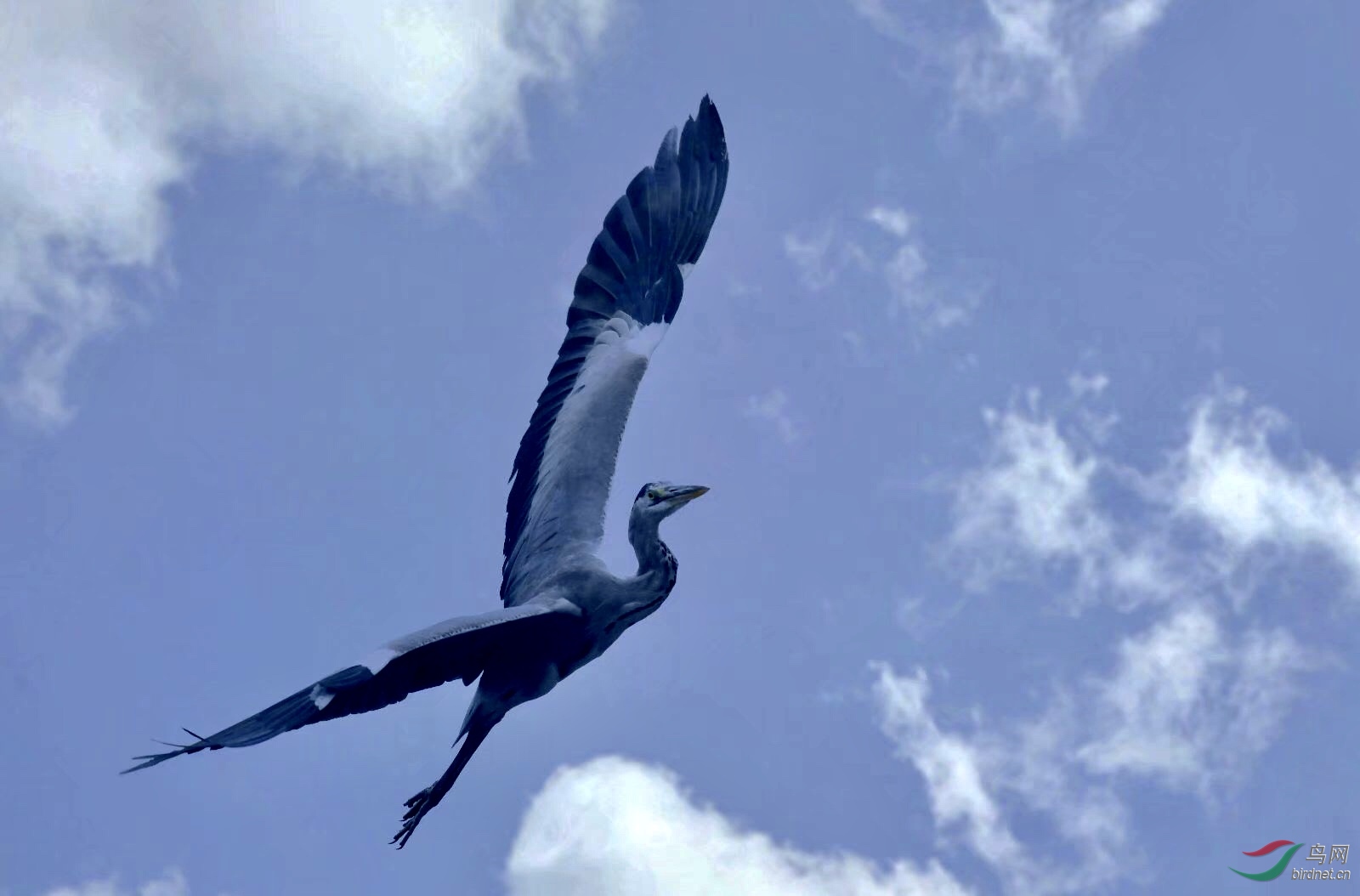 064467E3-040E-4F15-B099-64014F037F51.jpeg