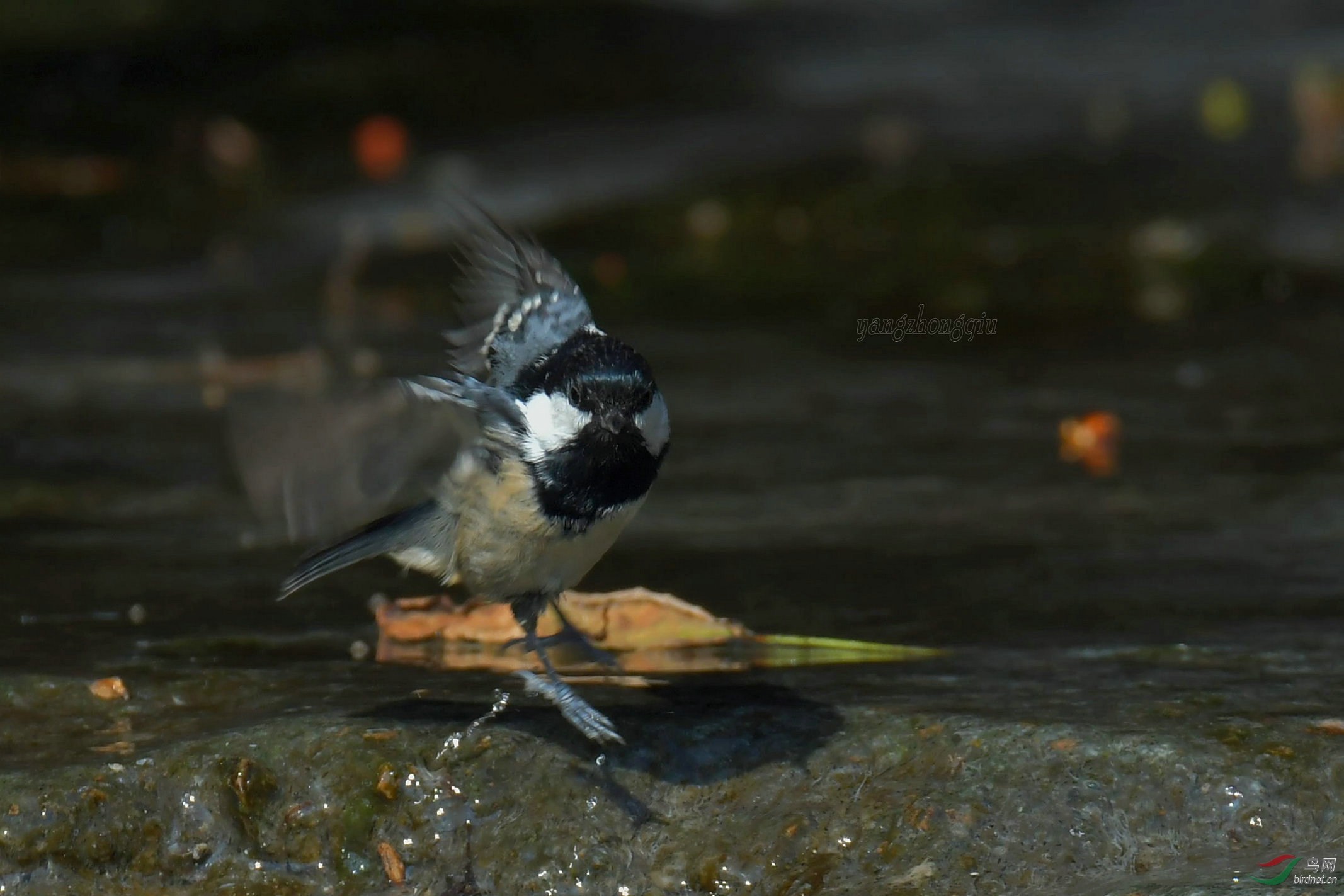 DSC_0536_����.jpg