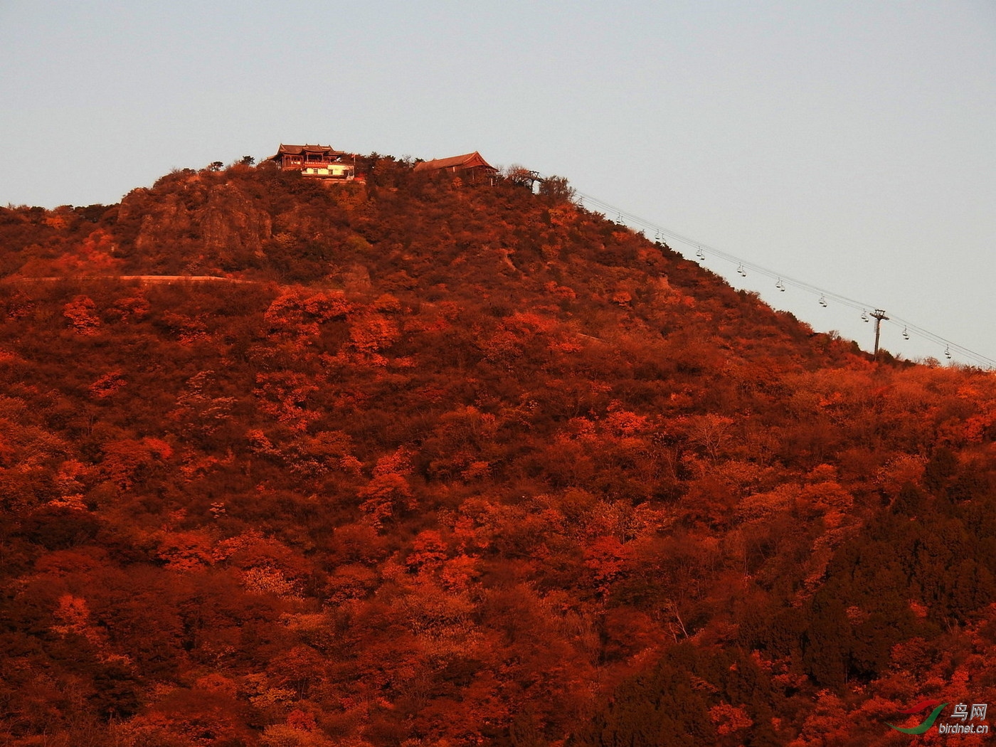 DSCN8919.JPG