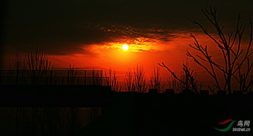 8J6A7027_����_����.jpg