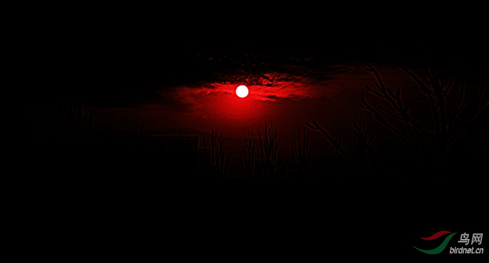 8J6A7027_����_����1_����2_����.jpg