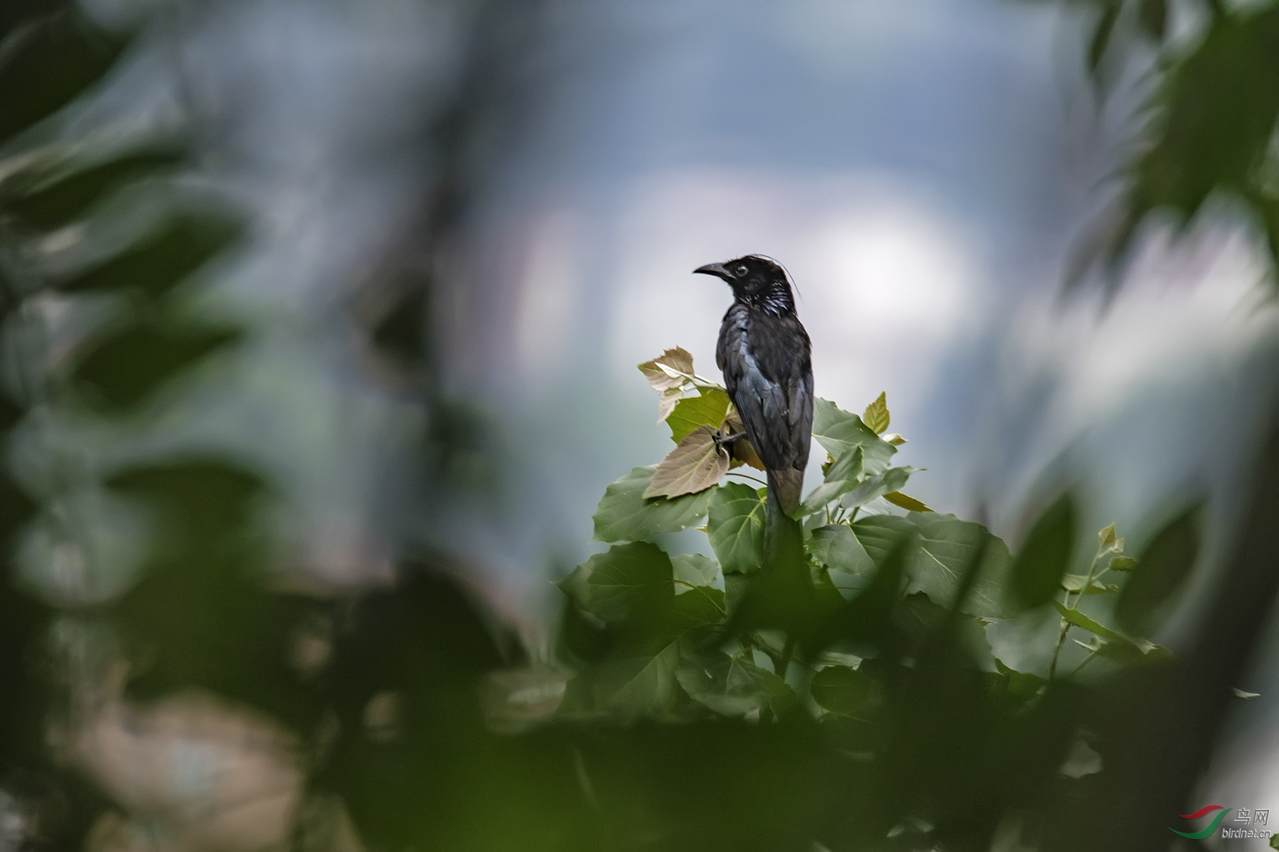 DSC_1226.jpg