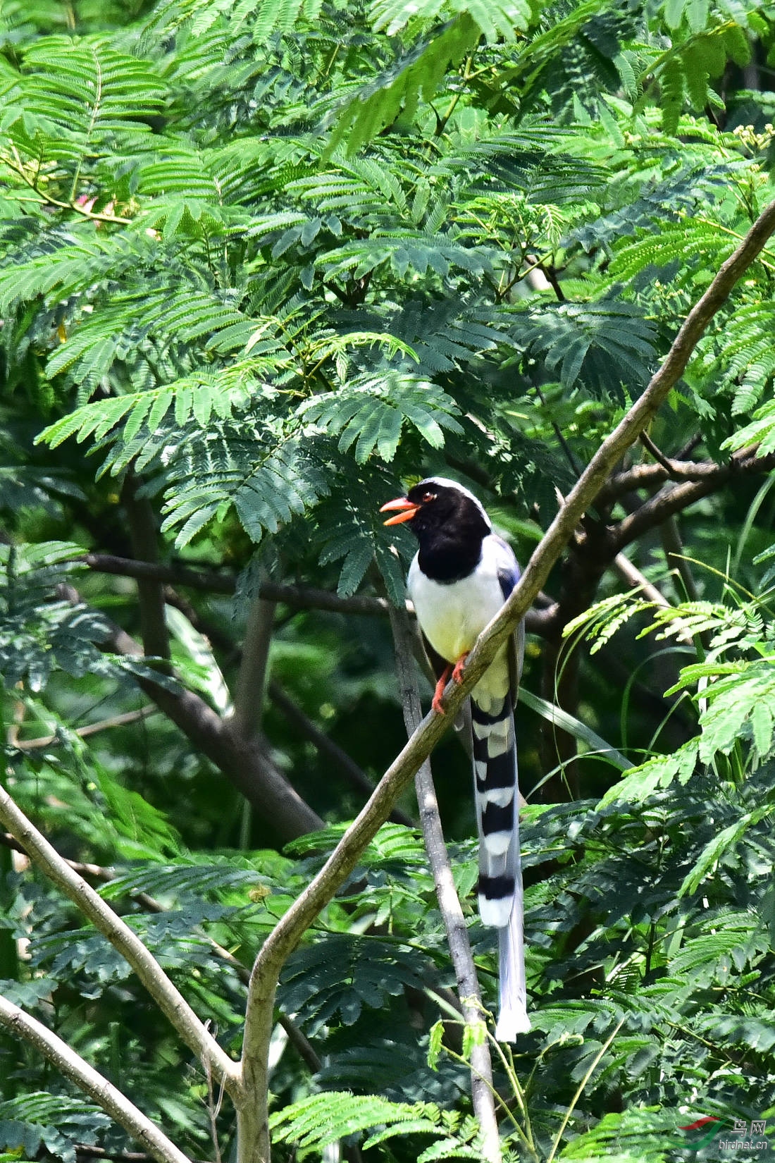 DSC_0686.JPG
