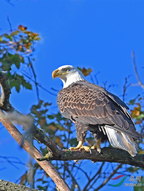 DSC_8740-_����.jpg