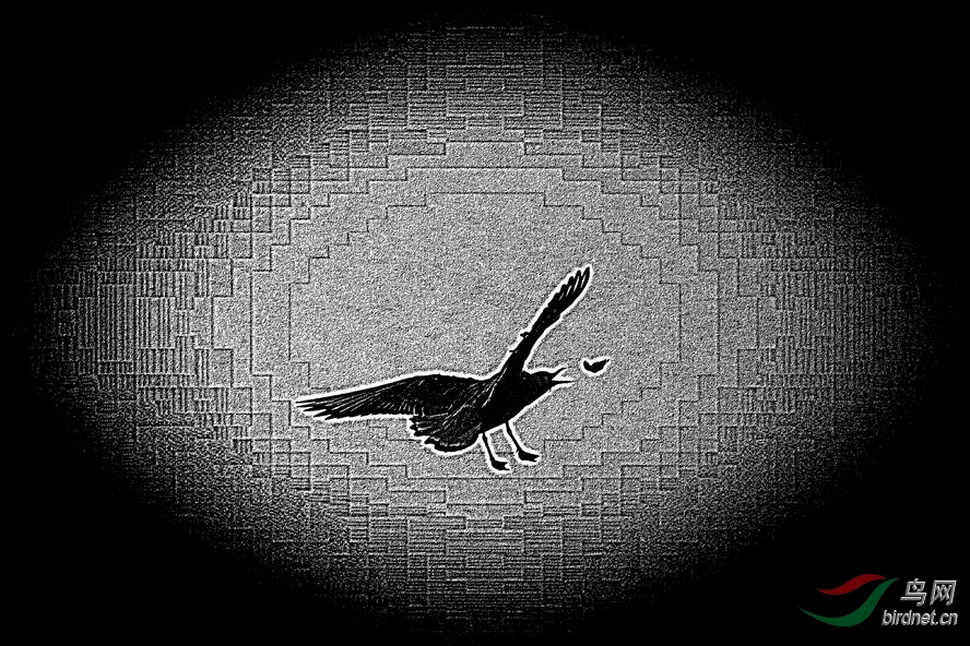 8J6A7156_����_����1_����1_����.jpg