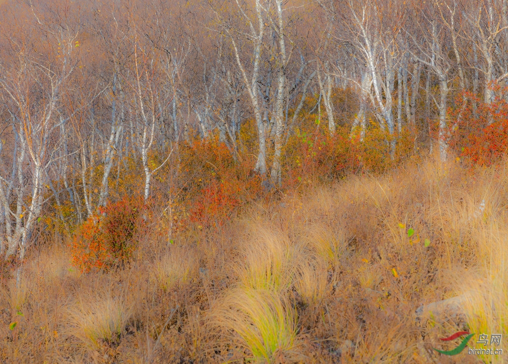 _16A9792  01_����.jpg