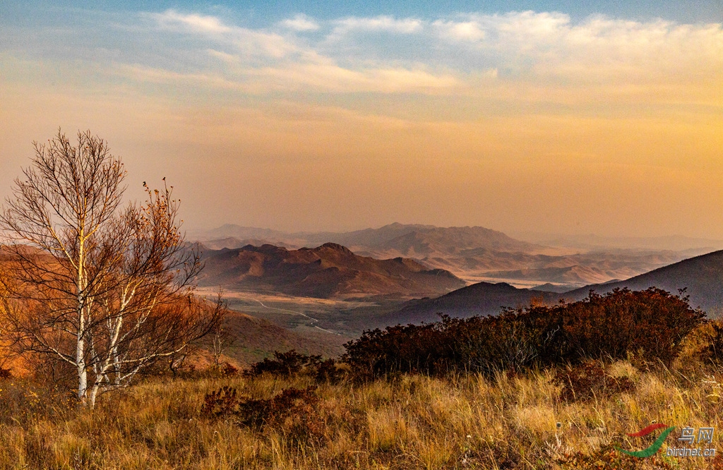 _16A9934  01_����.jpg