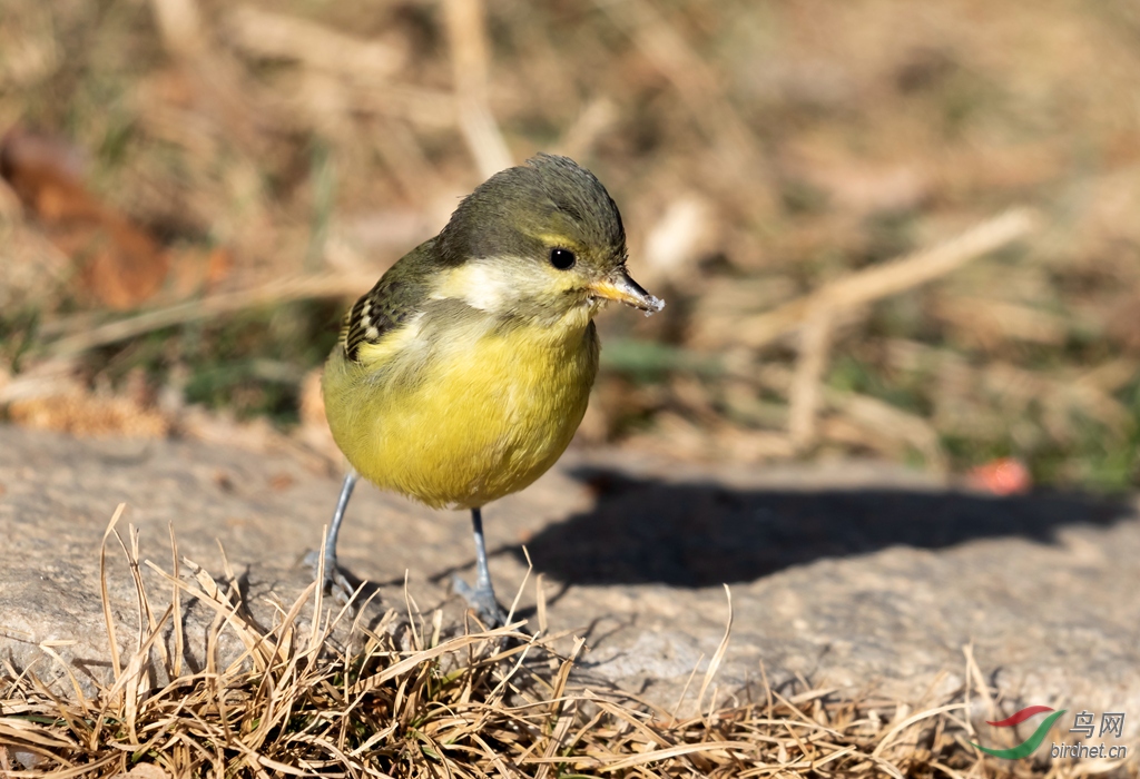 3S5A8435  01_����.jpg