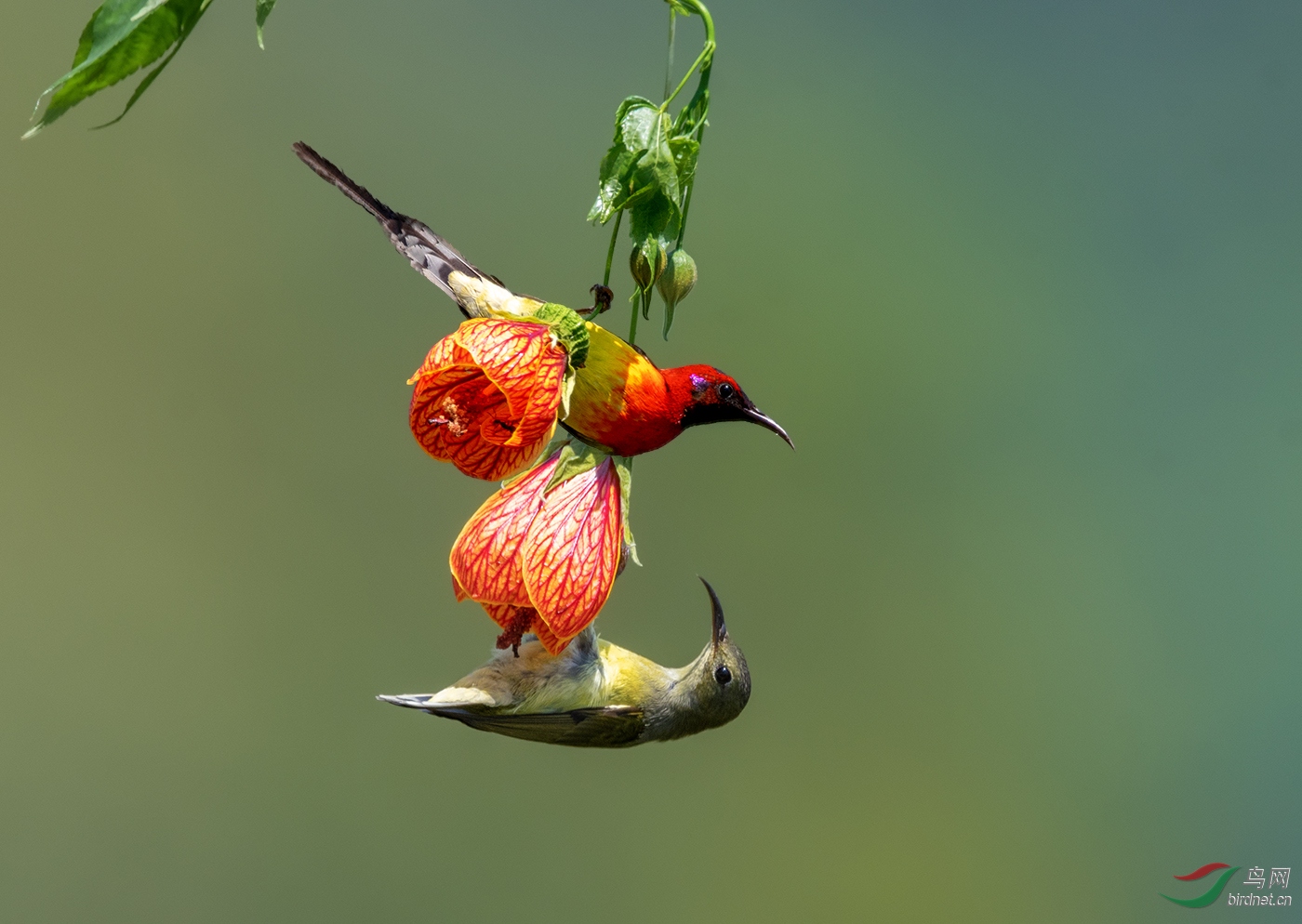 DSC_3501����2.jpg