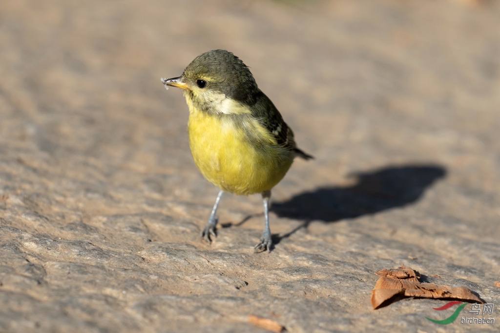 3S5A8449  01_����_����.jpg