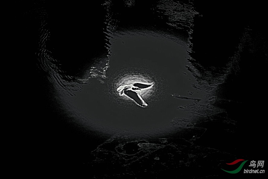 8J6A7341_����_����1_����.jpg
