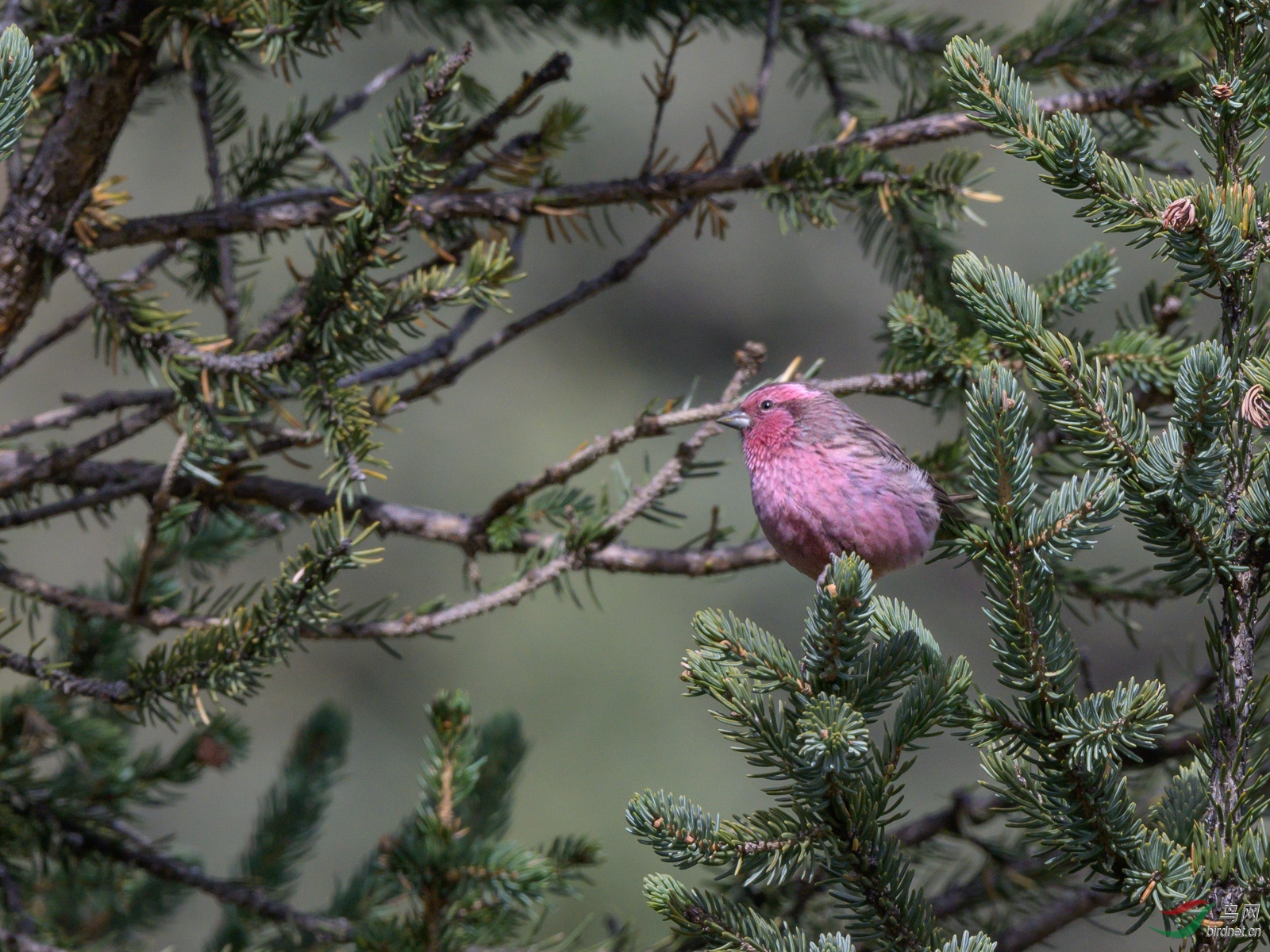 DSC_8634.jpg