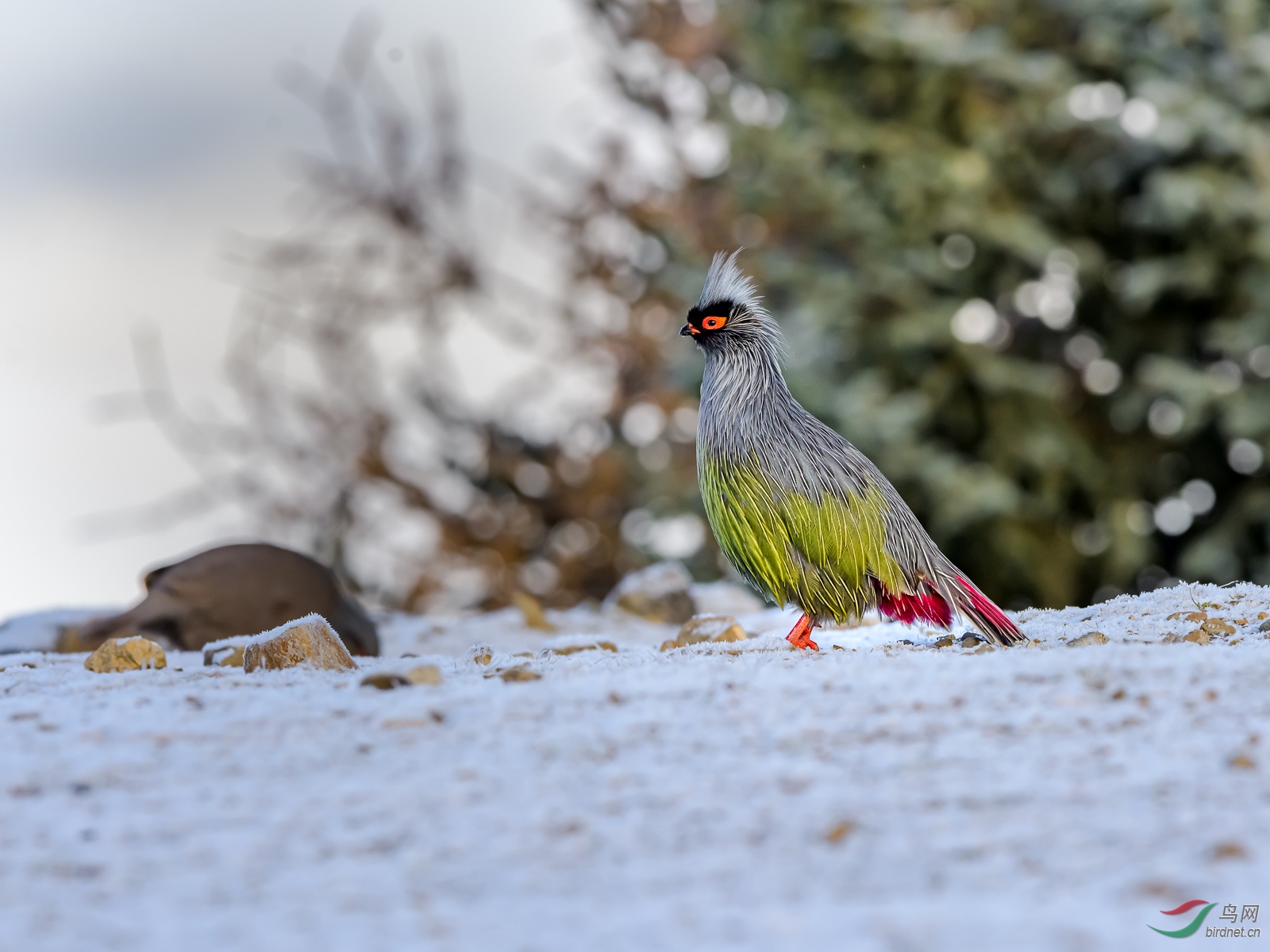 DSC_8748.jpg