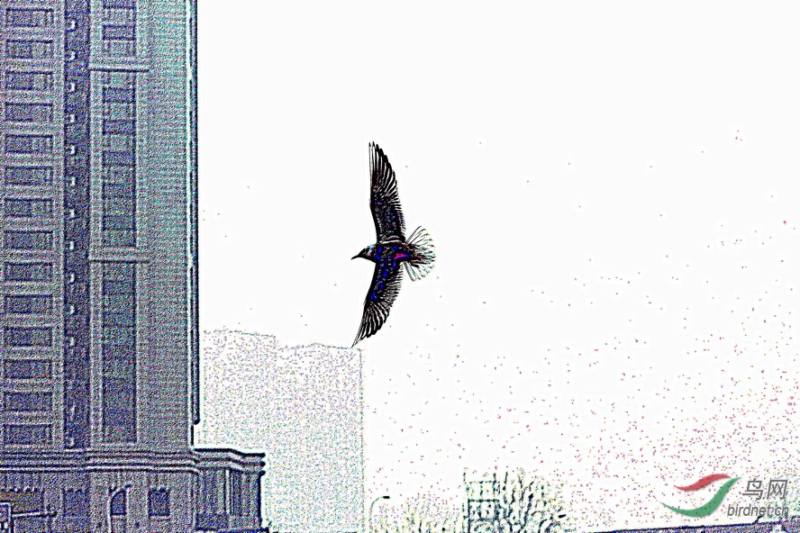 8J6A7532_����_����1_����.jpg