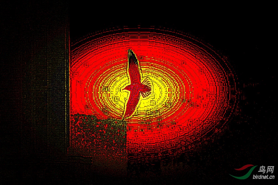 8J6A7532_����_����1_����2_����.jpg