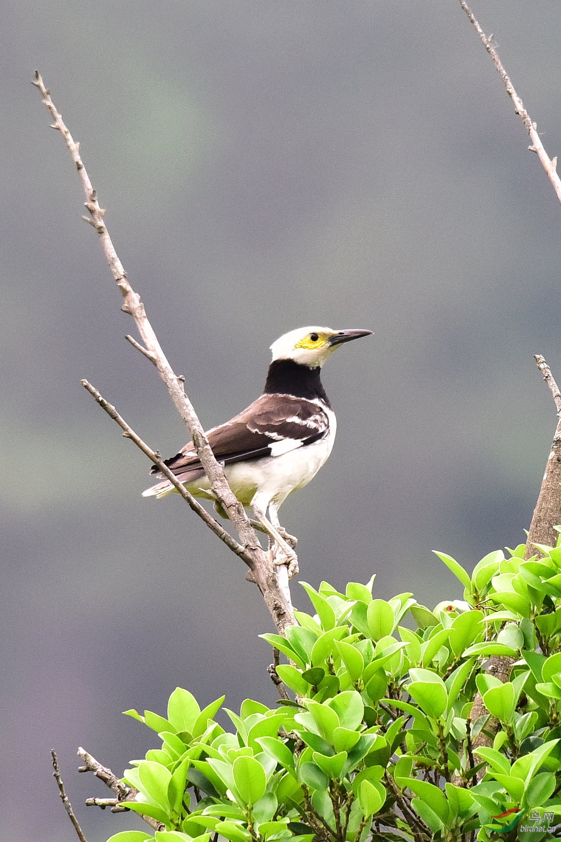 DSC_0269.JPG