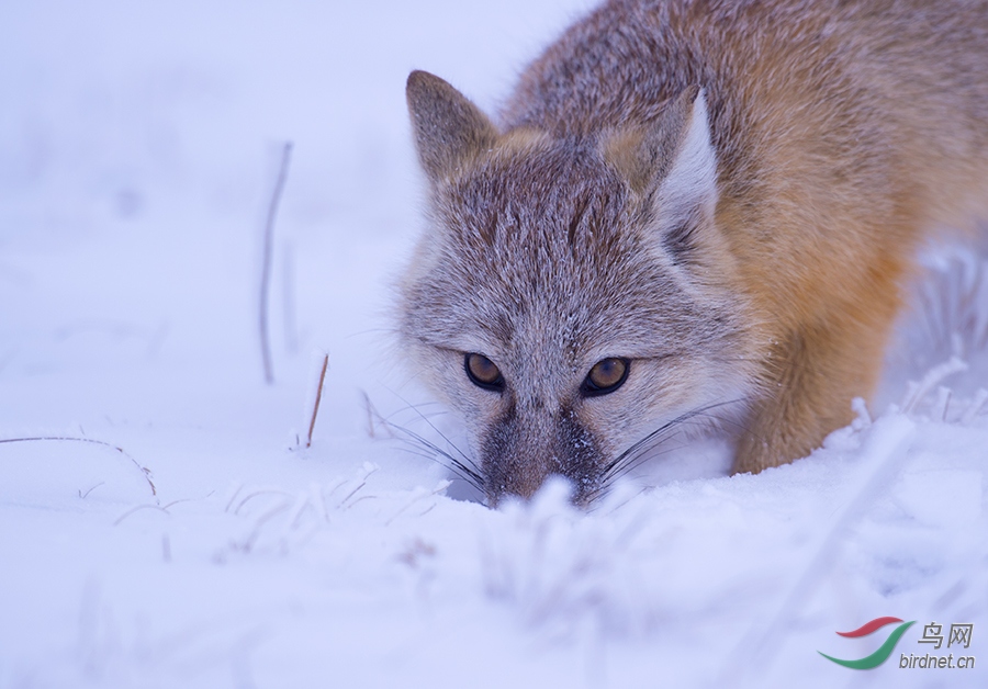 DSC_1642.jpg