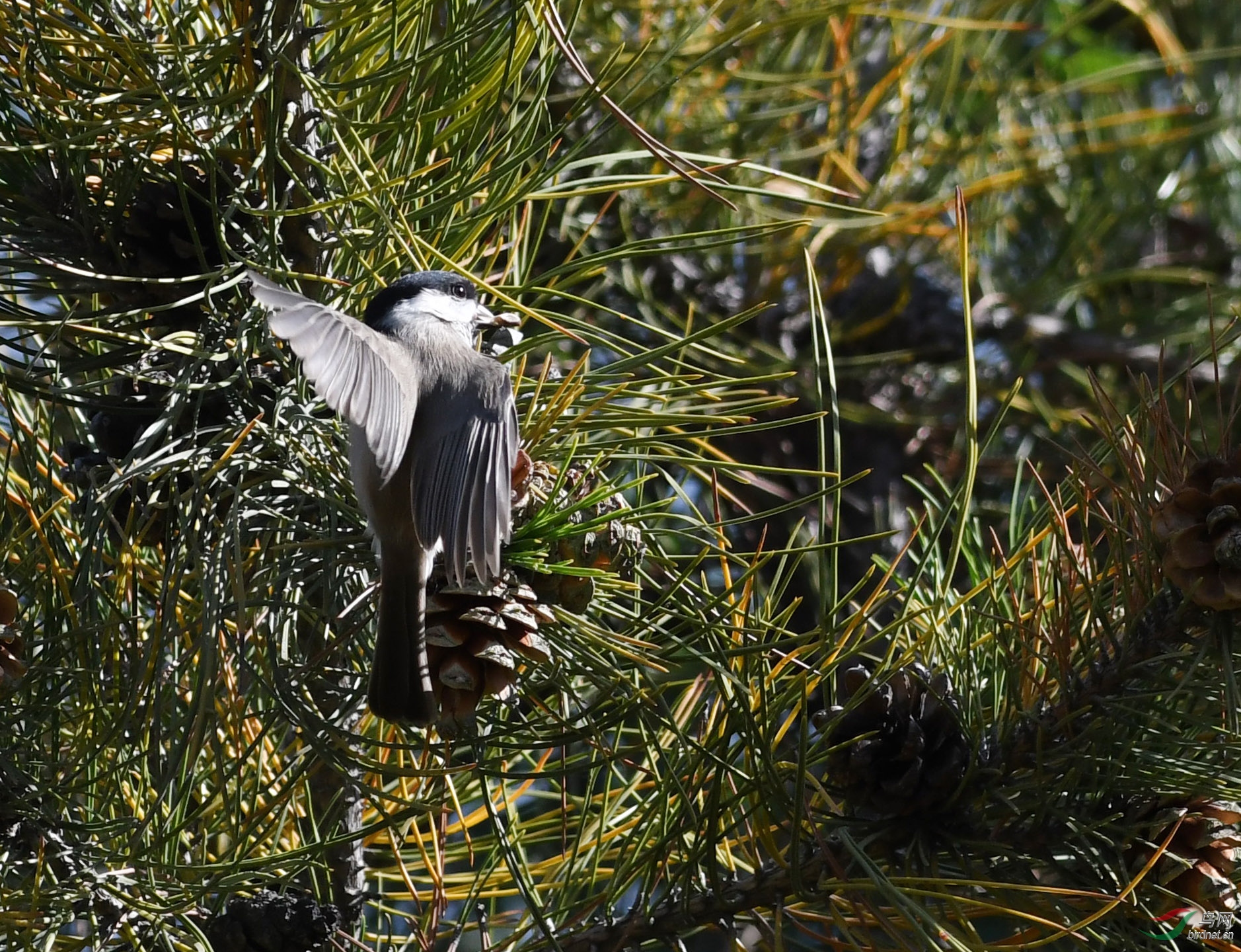 ������Ӱ 139����.jpg