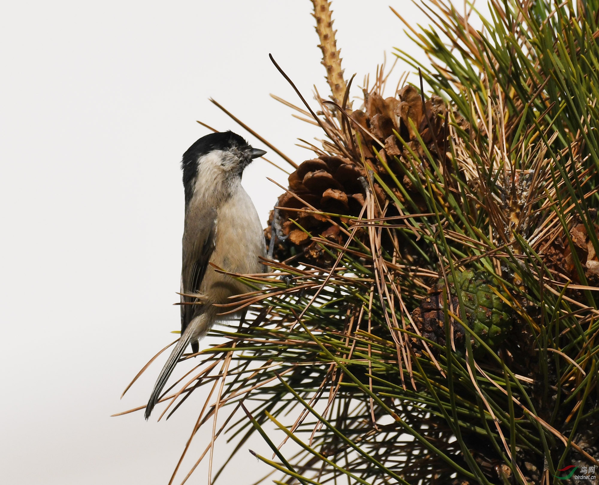 ������Ӱ 287����.jpg