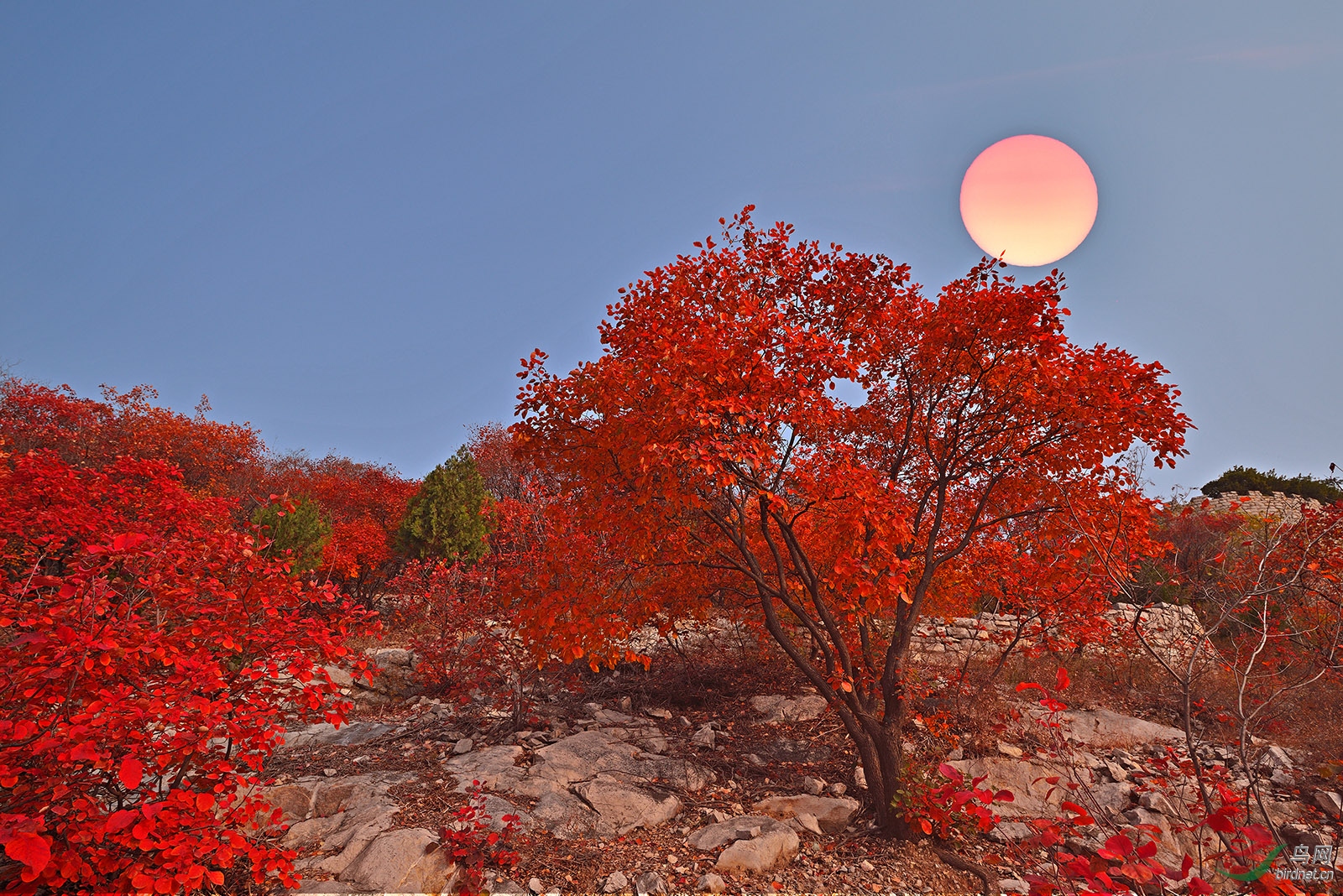 Ы��ɽa03.jpg