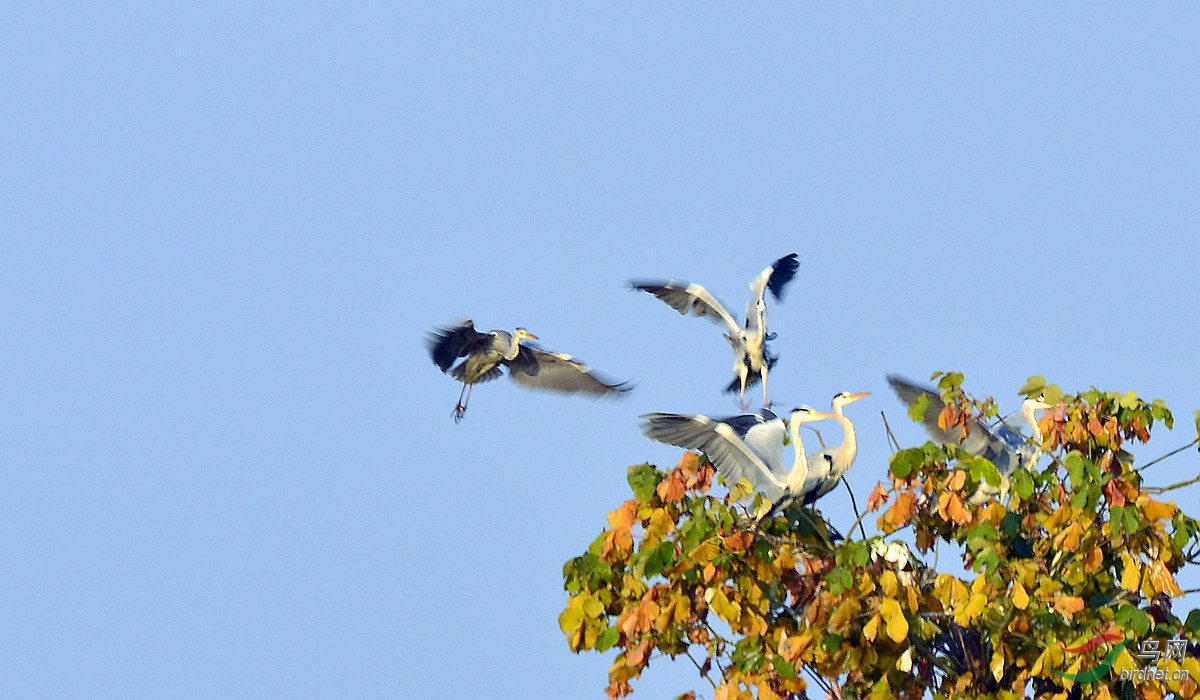 DSC_5966.JPG