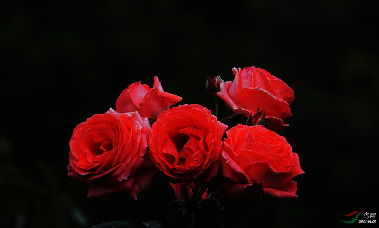 DSC09591.JPG