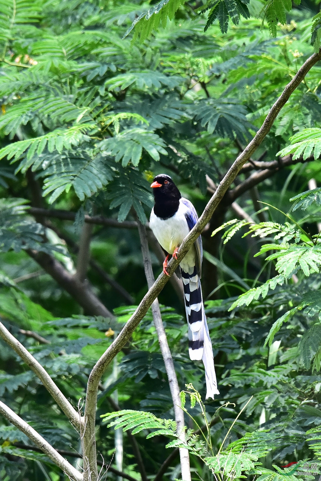 DSC_0691.JPG