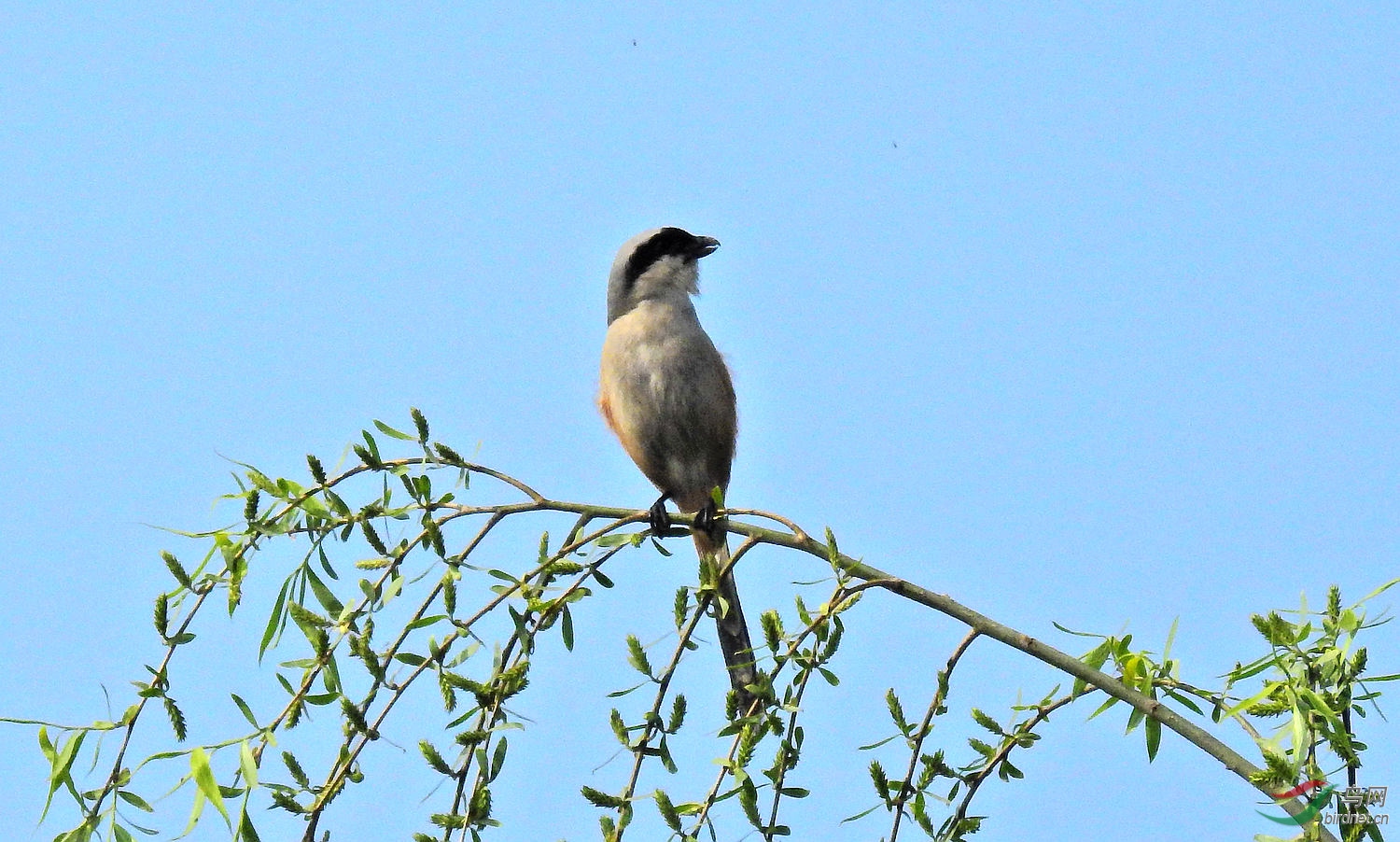 DSCN7015.JPG