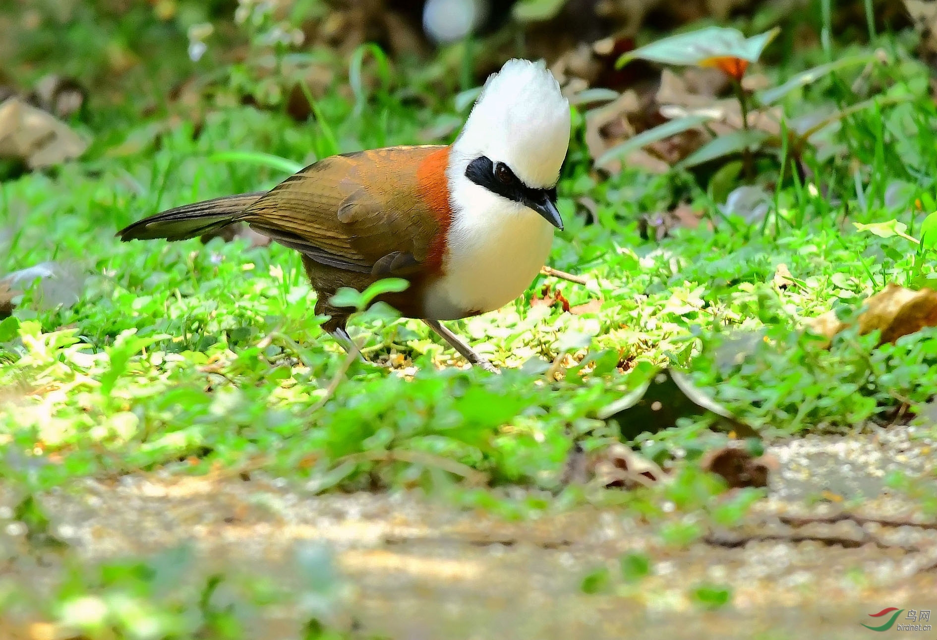 DSC_5159_����.jpg