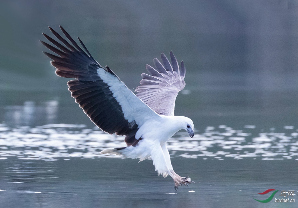 3S5A0280  01_����.jpg