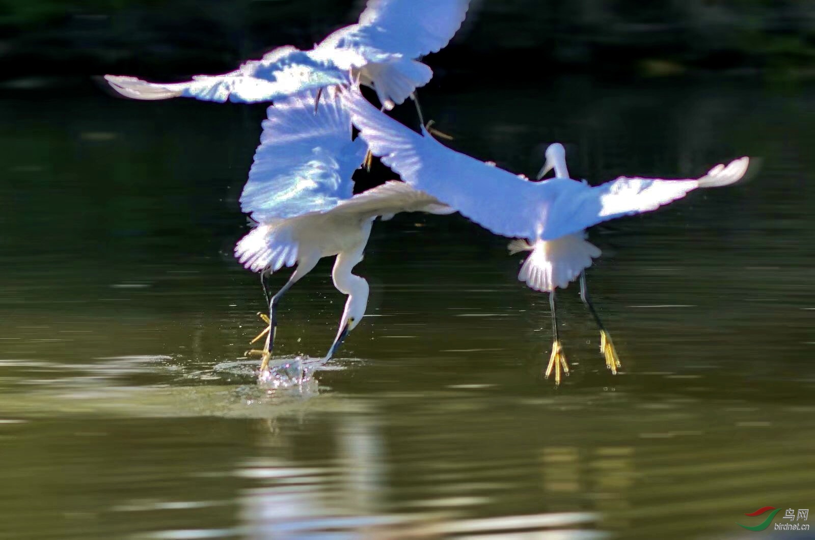 279CEF37-A3D8-45AA-A50D-8F38B35D6DCF.jpeg